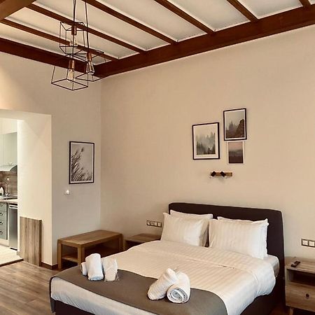 11 Luxury Apartments Metsovo Luaran gambar