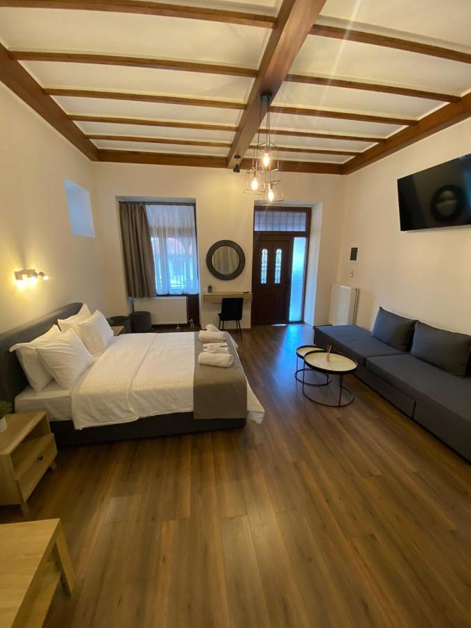 11 Luxury Apartments Metsovo Luaran gambar