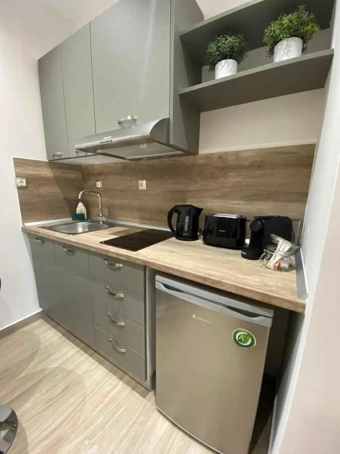 11 Luxury Apartments Metsovo Luaran gambar